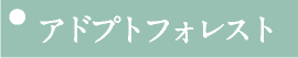 アドプトフォレスト